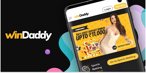 Why WINDADDY is Great for Kabaddi Betting