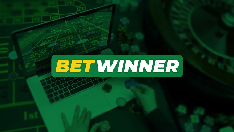 Why BET WINNER is Perfect for IPL Betting Enthusiasts